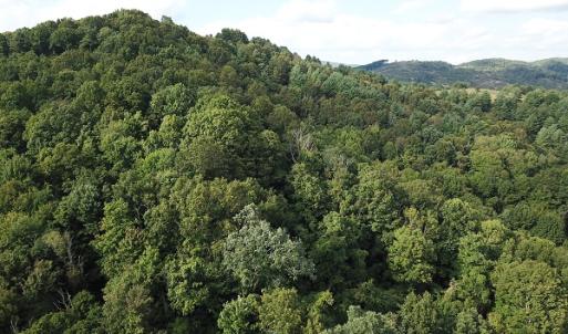 Photo #15 of Off Old Briddle Creek Road, Independence, VA 28.6 acres