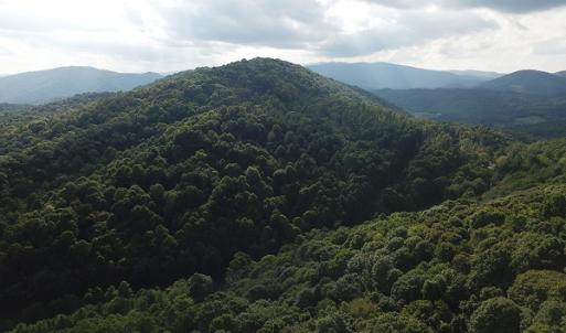 Photo #16 of Off Old Briddle Creek Road, Independence, VA 28.6 acres