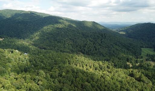 Photo #18 of Off Old Briddle Creek Road, Independence, VA 28.6 acres
