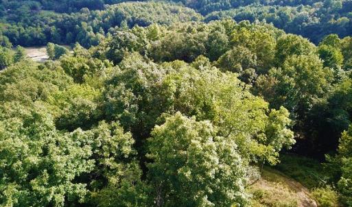 Photo #19 of Off Old Briddle Creek Road, Independence, VA 28.6 acres