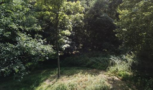 Photo #22 of Off Old Briddle Creek Road, Independence, VA 28.6 acres