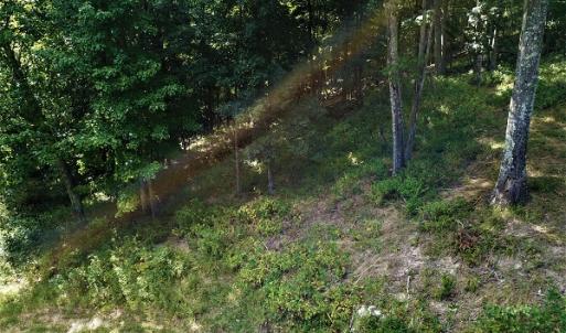 Photo #23 of Off Old Briddle Creek Road, Independence, VA 28.6 acres