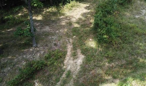 Photo #24 of Off Old Briddle Creek Road, Independence, VA 28.6 acres