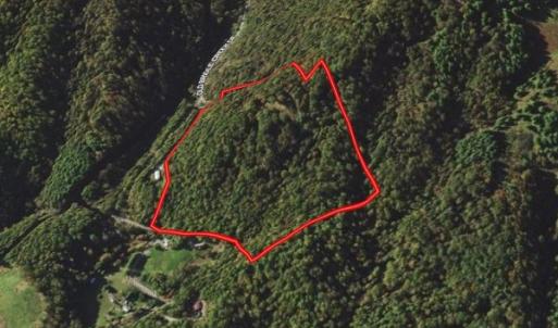 Photo #27 of Off Old Briddle Creek Road, Independence, VA 28.6 acres