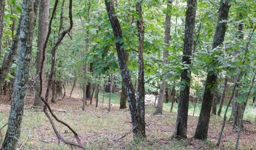 Photo #4 of Off Old Briddle Creek Road, Independence, VA 28.6 acres