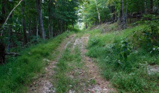 Photo #5 of Off Old Briddle Creek Road, Independence, VA 28.6 acres