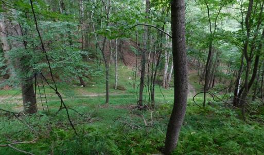 Photo #6 of Off Old Briddle Creek Road, Independence, VA 28.6 acres