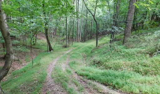 Photo #7 of Off Old Briddle Creek Road, Independence, VA 28.6 acres