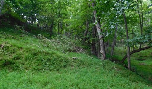 Photo #8 of Off Old Briddle Creek Road, Independence, VA 28.6 acres