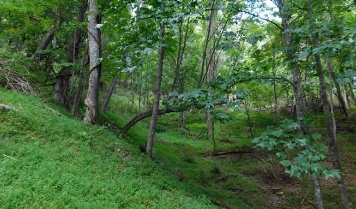 Photo #9 of Off Old Briddle Creek Road, Independence, VA 28.6 acres