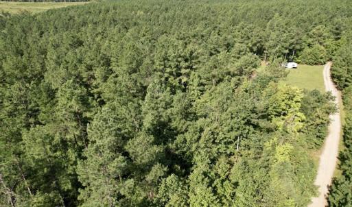 Photo #23 of SOLD property in Off Oral Oaks Road, Victoria, VA 21.2 acres