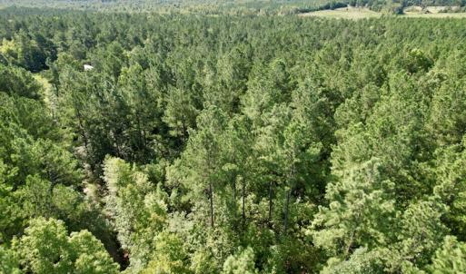 Photo #24 of SOLD property in Off Oral Oaks Road, Victoria, VA 21.2 acres