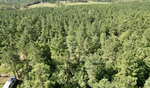 Photo #25 of SOLD property in Off Oral Oaks Road, Victoria, VA 21.2 acres