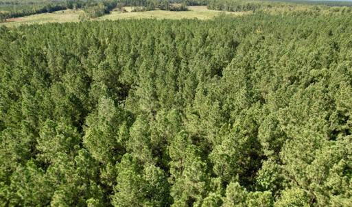 Photo #28 of SOLD property in Off Oral Oaks Road, Victoria, VA 21.2 acres