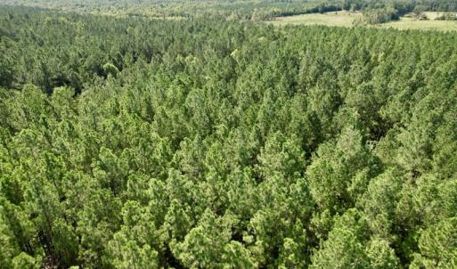 Photo #29 of SOLD property in Off Oral Oaks Road, Victoria, VA 21.2 acres