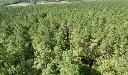 Photo #30 of SOLD property in Off Oral Oaks Road, Victoria, VA 21.2 acres