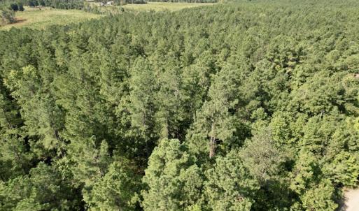 Photo #33 of SOLD property in Off Oral Oaks Road, Victoria, VA 21.2 acres
