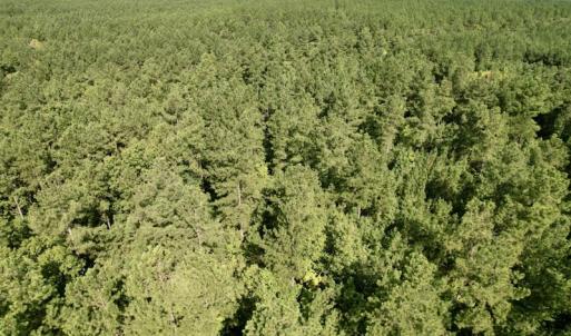 Photo #34 of SOLD property in Off Oral Oaks Road, Victoria, VA 21.2 acres