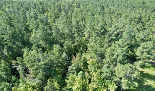 Photo #35 of SOLD property in Off Oral Oaks Road, Victoria, VA 21.2 acres