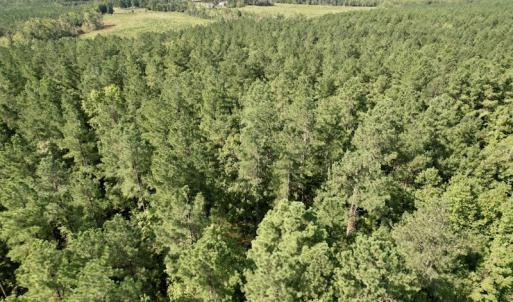 Photo #36 of SOLD property in Off Oral Oaks Road, Victoria, VA 21.2 acres