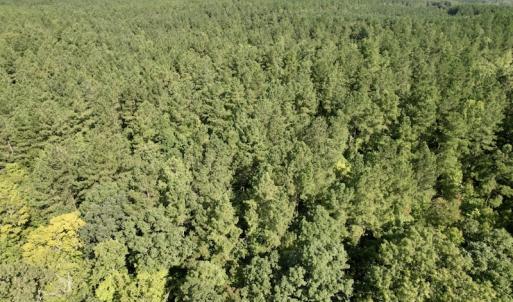 Photo #37 of SOLD property in Off Oral Oaks Road, Victoria, VA 21.2 acres