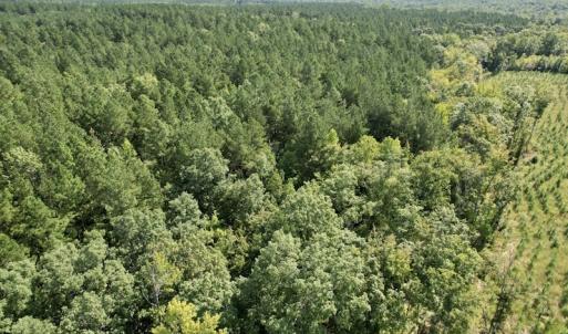 Photo #38 of SOLD property in Off Oral Oaks Road, Victoria, VA 21.2 acres