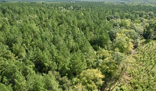 Photo #39 of SOLD property in Off Oral Oaks Road, Victoria, VA 21.2 acres