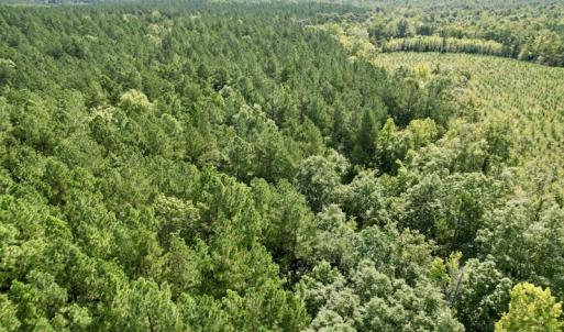 Photo #40 of SOLD property in Off Oral Oaks Road, Victoria, VA 21.2 acres