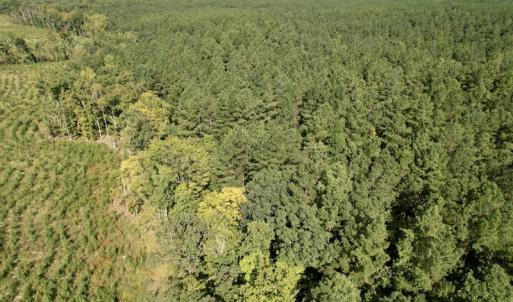Photo #41 of SOLD property in Off Oral Oaks Road, Victoria, VA 21.2 acres