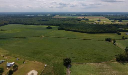Photo #2 of SOLD property in Off Joe Gardner Road  , Grifton, NC 52.6 acres