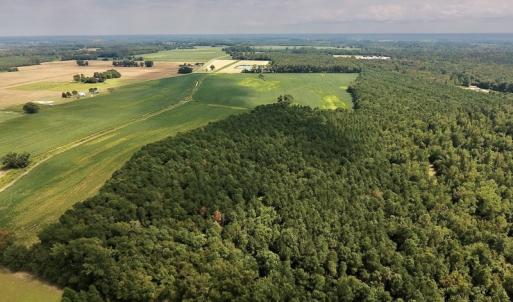 Photo #11 of SOLD property in Off Joe Gardner Road  , Grifton, NC 52.6 acres