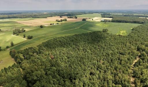 Photo #12 of SOLD property in Off Joe Gardner Road  , Grifton, NC 52.6 acres