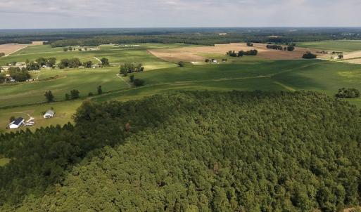 Photo #13 of SOLD property in Off Joe Gardner Road  , Grifton, NC 52.6 acres
