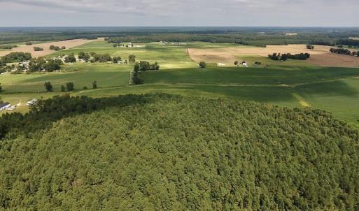 Photo #15 of SOLD property in Off Joe Gardner Road  , Grifton, NC 52.6 acres