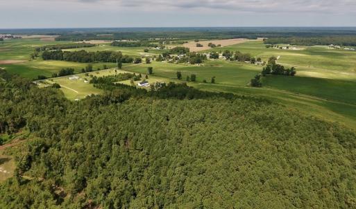 Photo #16 of SOLD property in Off Joe Gardner Road  , Grifton, NC 52.6 acres
