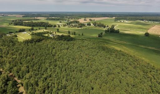 Photo #17 of SOLD property in Off Joe Gardner Road  , Grifton, NC 52.6 acres