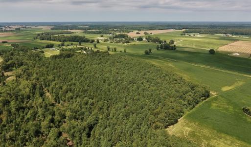Photo #18 of SOLD property in Off Joe Gardner Road  , Grifton, NC 52.6 acres