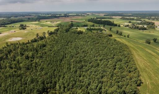 Photo #19 of SOLD property in Off Joe Gardner Road  , Grifton, NC 52.6 acres