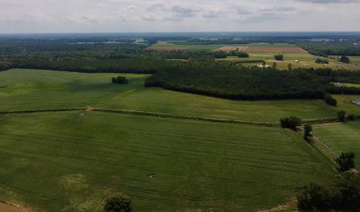 Photo #3 of SOLD property in Off Joe Gardner Road  , Grifton, NC 52.6 acres