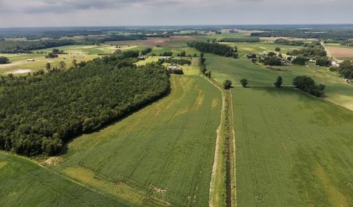 Photo #22 of SOLD property in Off Joe Gardner Road  , Grifton, NC 52.6 acres