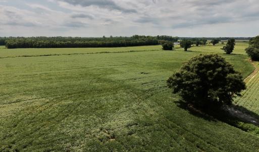 Photo #28 of SOLD property in Off Joe Gardner Road  , Grifton, NC 52.6 acres