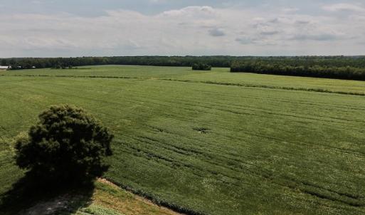 Photo #29 of SOLD property in Off Joe Gardner Road  , Grifton, NC 52.6 acres