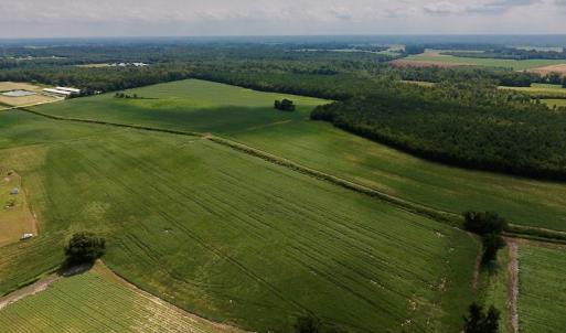 Photo #4 of SOLD property in Off Joe Gardner Road  , Grifton, NC 52.6 acres