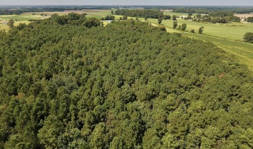 Photo #33 of SOLD property in Off Joe Gardner Road  , Grifton, NC 52.6 acres