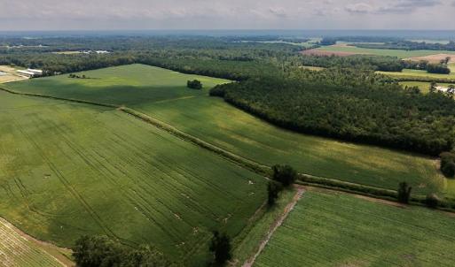 Photo #5 of SOLD property in Off Joe Gardner Road  , Grifton, NC 52.6 acres