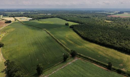 Photo #6 of SOLD property in Off Joe Gardner Road  , Grifton, NC 52.6 acres