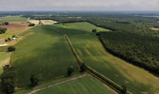 Photo #7 of SOLD property in Off Joe Gardner Road  , Grifton, NC 52.6 acres