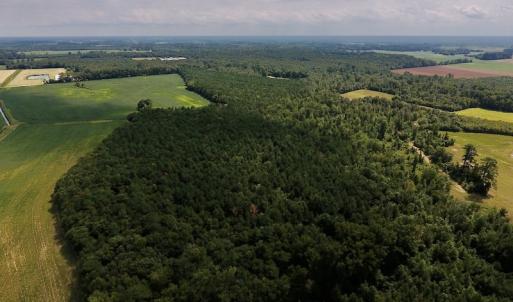 Photo #9 of SOLD property in Off Joe Gardner Road  , Grifton, NC 52.6 acres
