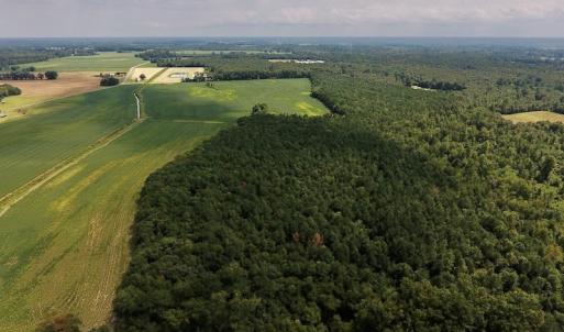 Photo #10 of SOLD property in Off Joe Gardner Road  , Grifton, NC 52.6 acres