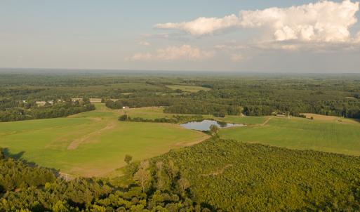 Photo #8 of SOLD property in Off Pixley Pritchard Road & Thomas Store Road, Timberlake, NC 115.0 acres